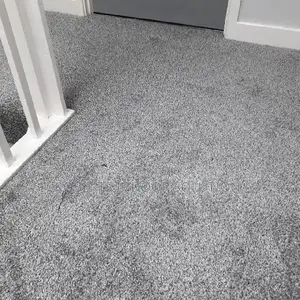 Special Offer: Delta Wall-to-Wall Carpets