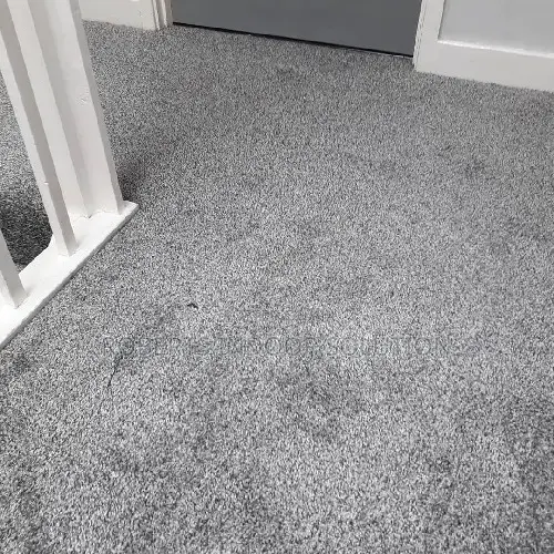 Special Offer: Delta Wall-to-Wall Carpets