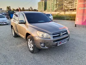 Toyota RAV4 2010 Silver