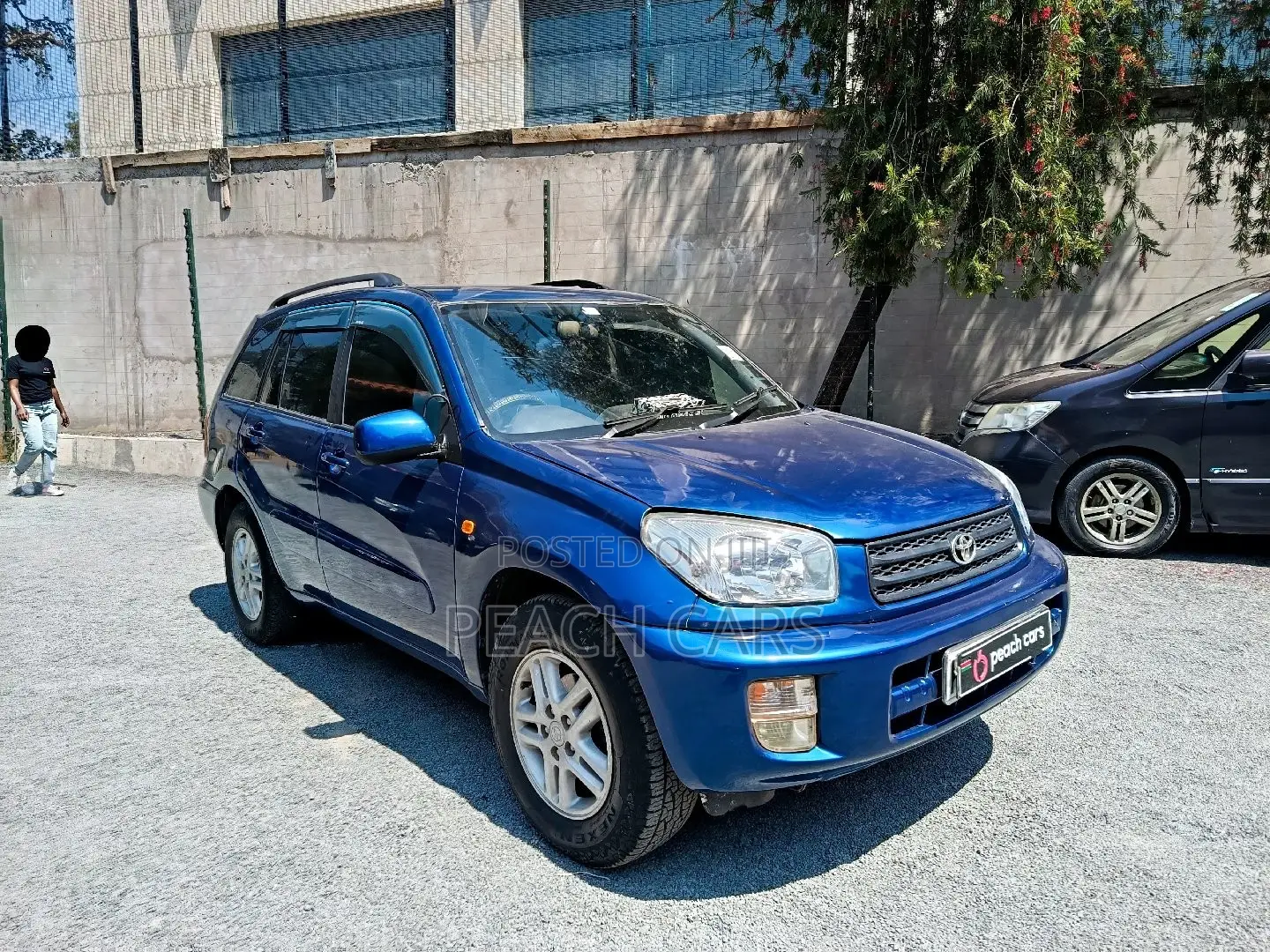 Toyota RAV4 2002 Blue