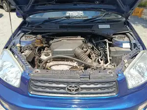 Toyota RAV4 2002 Blue
