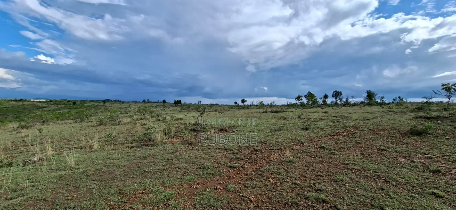 6 Acres Available in Mukima, Nanyuki
