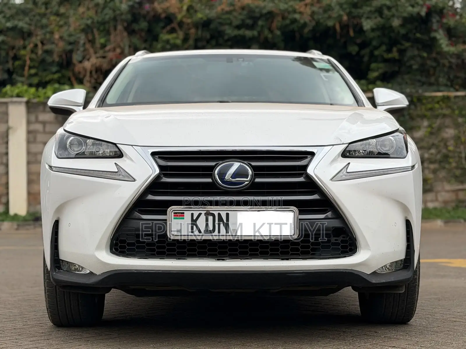 Lexus NX 2016 White