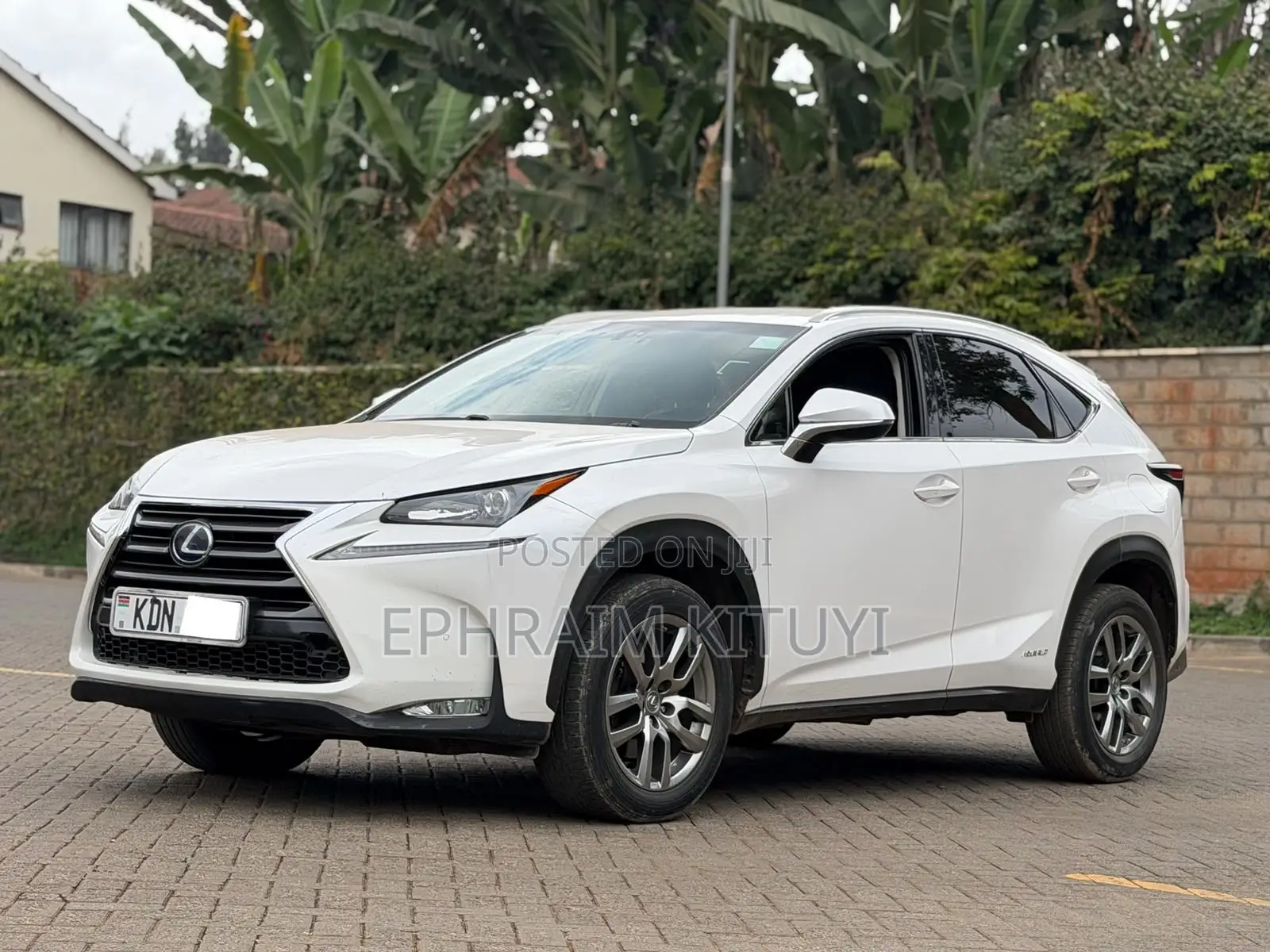 Lexus NX 2016 White