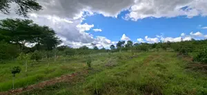 6.2 Acres Available in Ngoliba - Thika