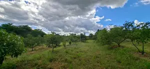 6.2 Acres Available in Ngoliba - Thika