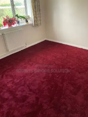 Premium Delta Wall-to-Wall Carpeting