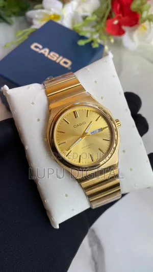 Casio Gents Watch