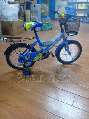 Premier Lion King Kids Bicycle With Training Wheels and Front Basket