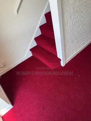 Luxury Highlighting Wall to Wall Carpet