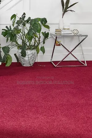 Built for Life: High-Durability Delta Wall-to-Wall Carpet