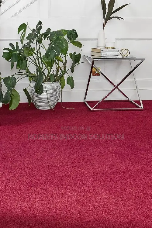 Built for Life: High-Durability Delta Wall-to-Wall Carpet