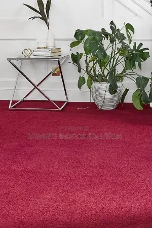 Built for Life: High-Durability Delta Wall-to-Wall Carpet