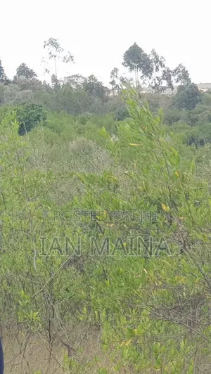 2 Acres Land for Sale