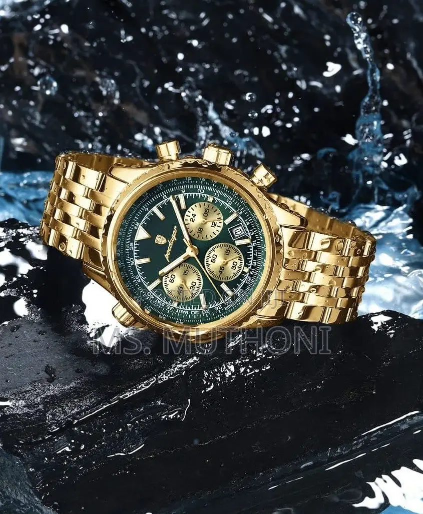 The Poedagar Men's Luxury Chronograph Quartz Watch