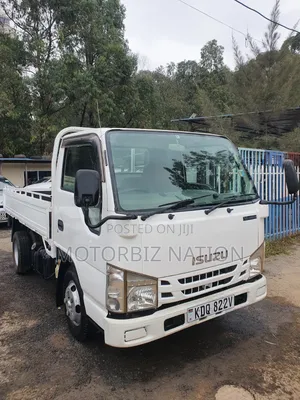 Isuzu Elf 2017