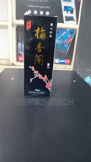 Chinese Calligraphy Ink