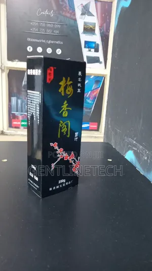 Chinese Calligraphy Ink