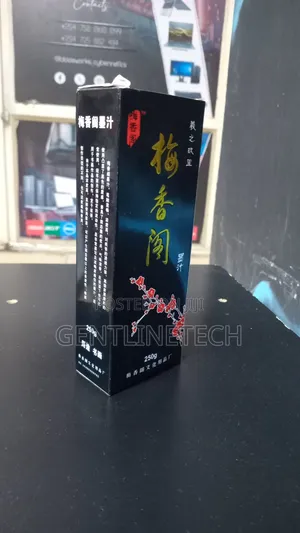 Chinese Calligraphy Ink