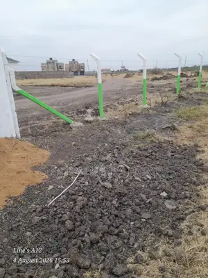 Mwalimu Farm Plots