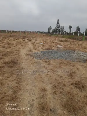 Mwalimu Farm Plots