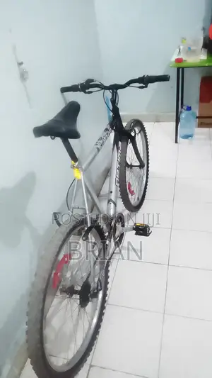 Storm 2015 Gray