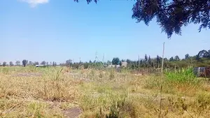 1/8 Acre Plots for Sale in Rongai, Milimani Area