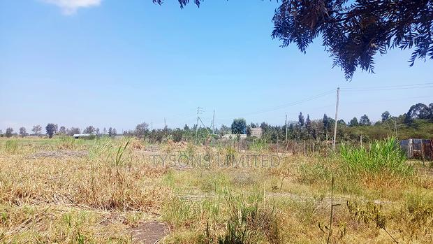 1/8 Acre Plots for Sale in Rongai, Milimani Area