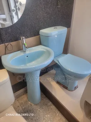 Toilet Seat(blue and Green)