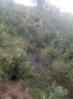 2 Acres Land for Sale