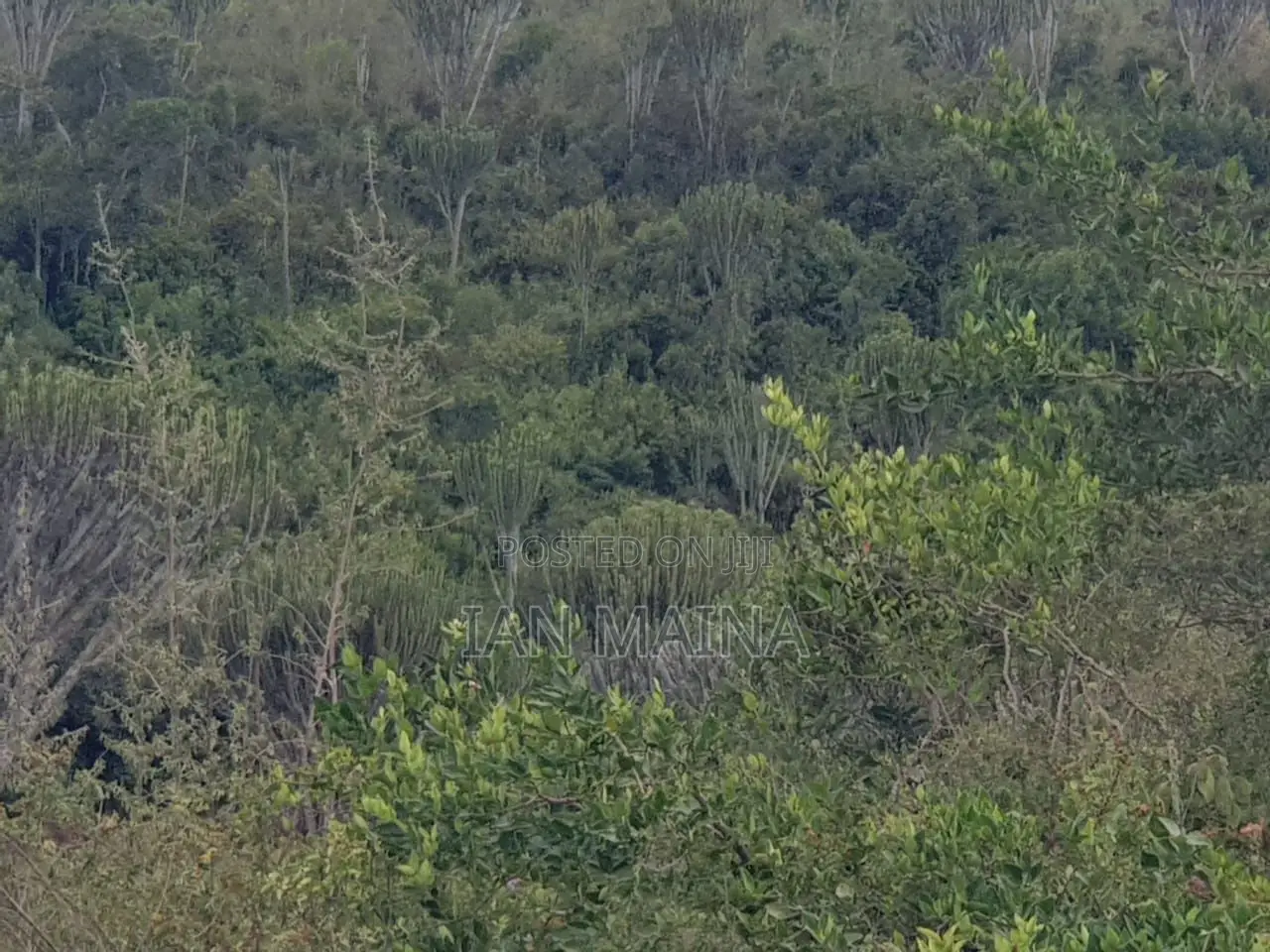 2 Acres Land for Sale