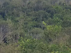 2 Acres Land for Sale