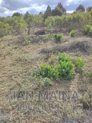2 Acres Land for Sale