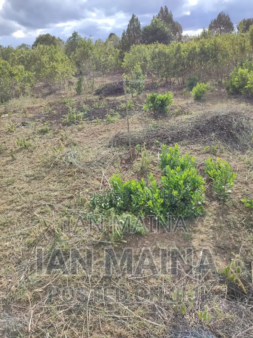 2 Acres Land for Sale