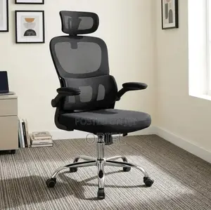 Office Chair : Ergonomic Chair With Flip Armrest
