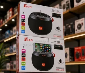 Bluetooth Speaker FP-229 Portable Wireless Speaker