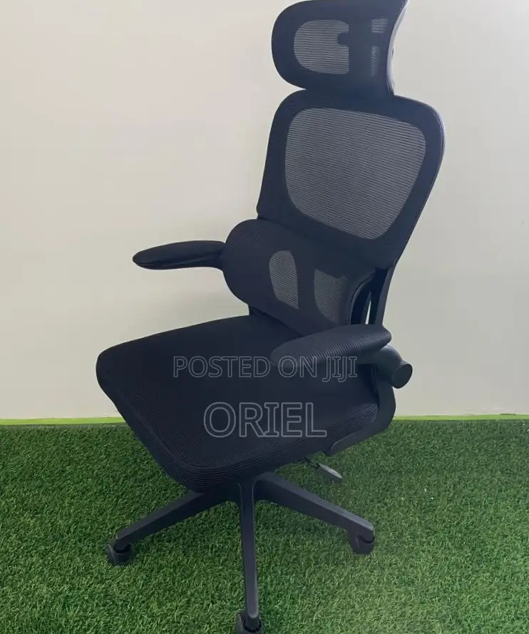 Office Chair : Ergonomic Chair With Flip Armrest