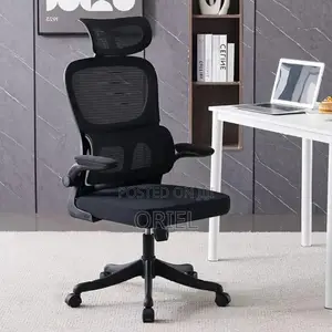 Office Chair : Ergonomic Chair With Flip Armrest
