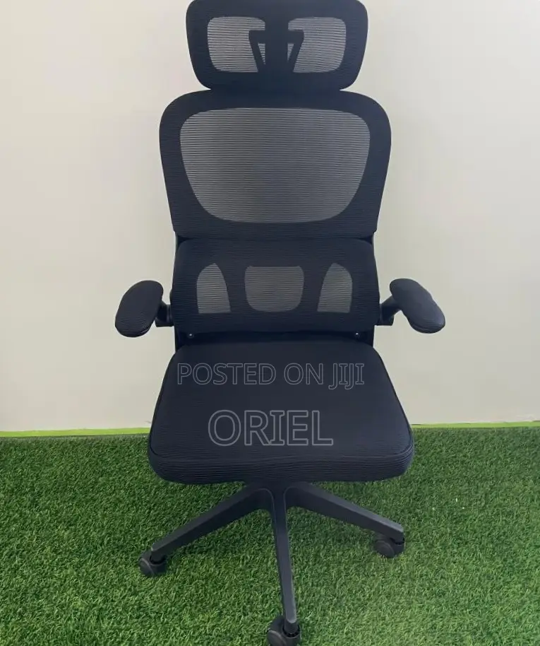 Office Chair : Ergonomic Chair With Flip Armrest