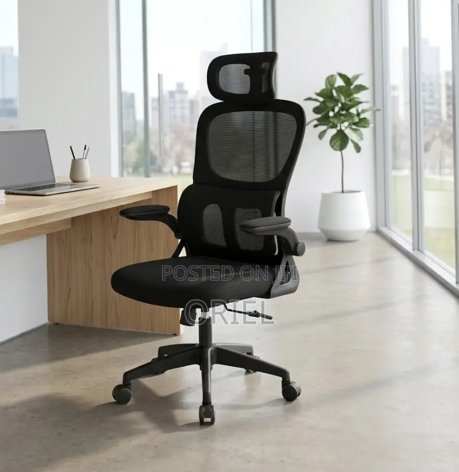 Office Chair : Ergonomic Chair With Flip Armrest