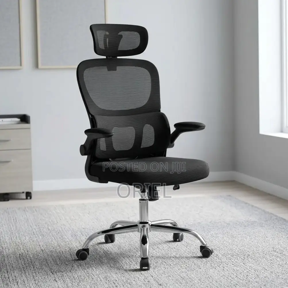 Office Chair : Ergonomic Chair With Flip Armrest