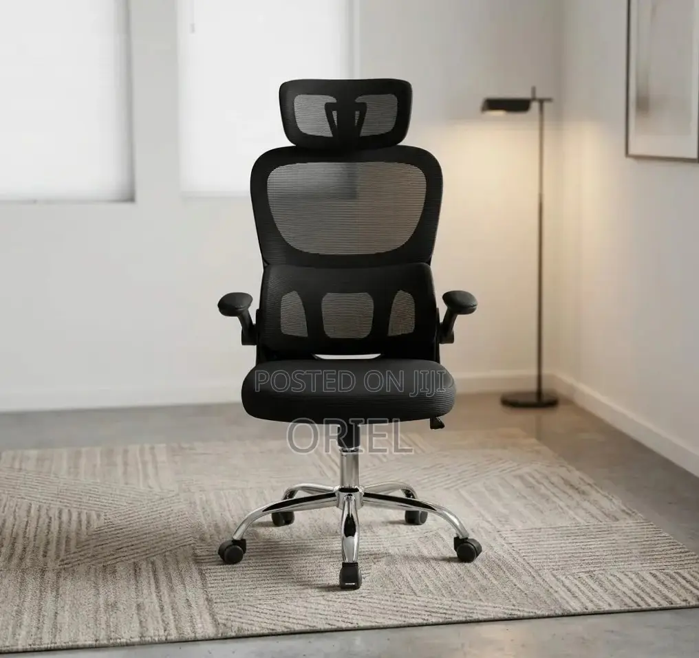 Office Chair : Ergonomic Chair With Flip Armrest