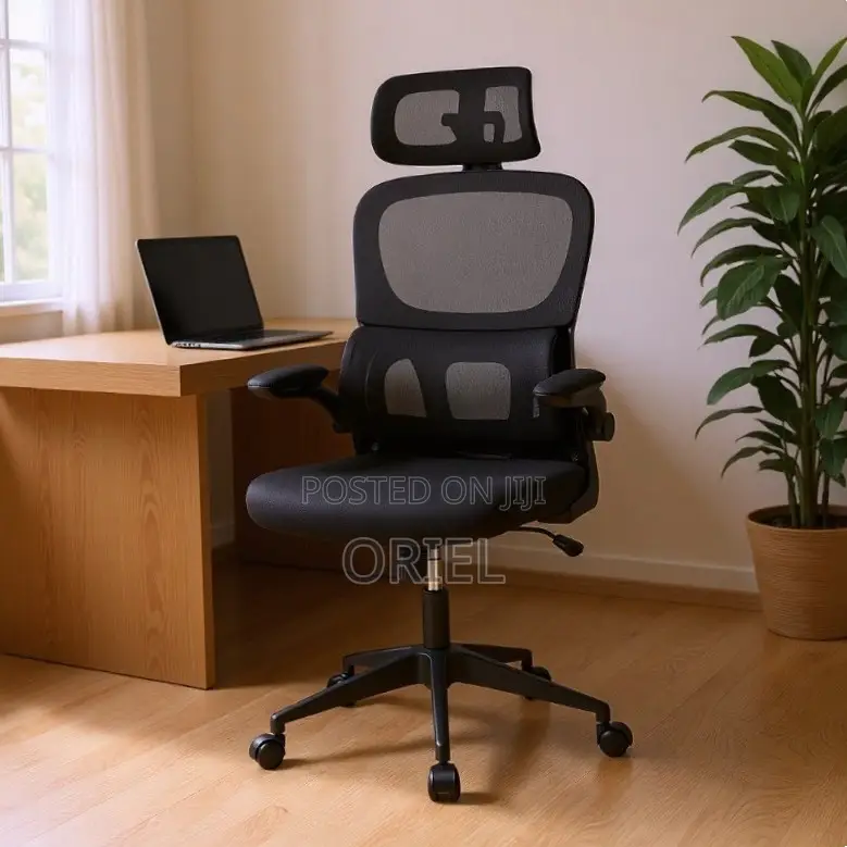 Office Chair : Ergonomic Chair With Flip Armrest