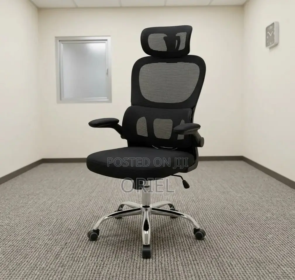 Office Chair : Ergonomic Chair With Flip Armrest