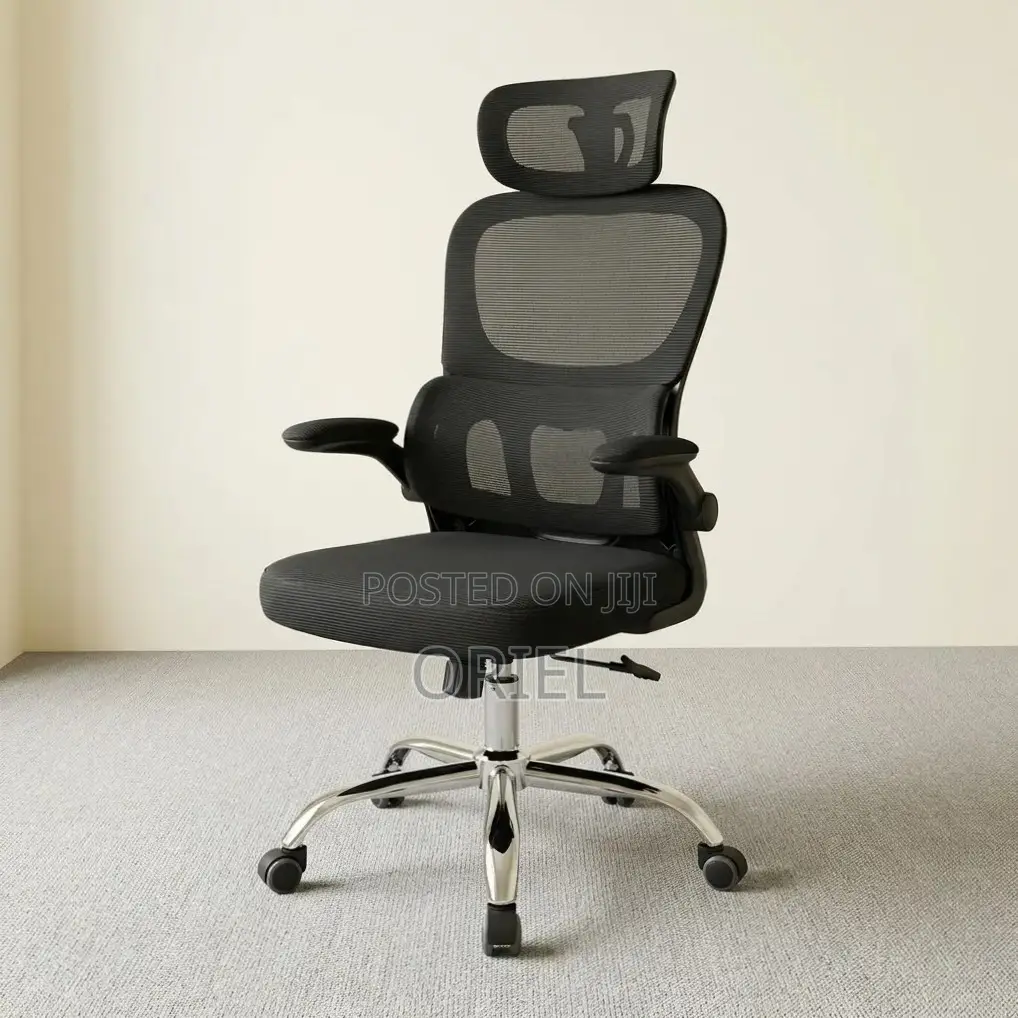 Office Chair : Ergonomic Chair With Flip Armrest