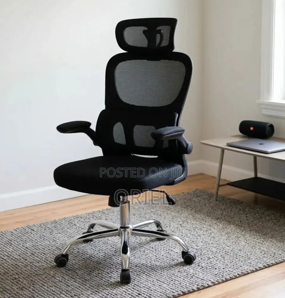 Office Chair : Ergonomic Chair With Flip Armrest