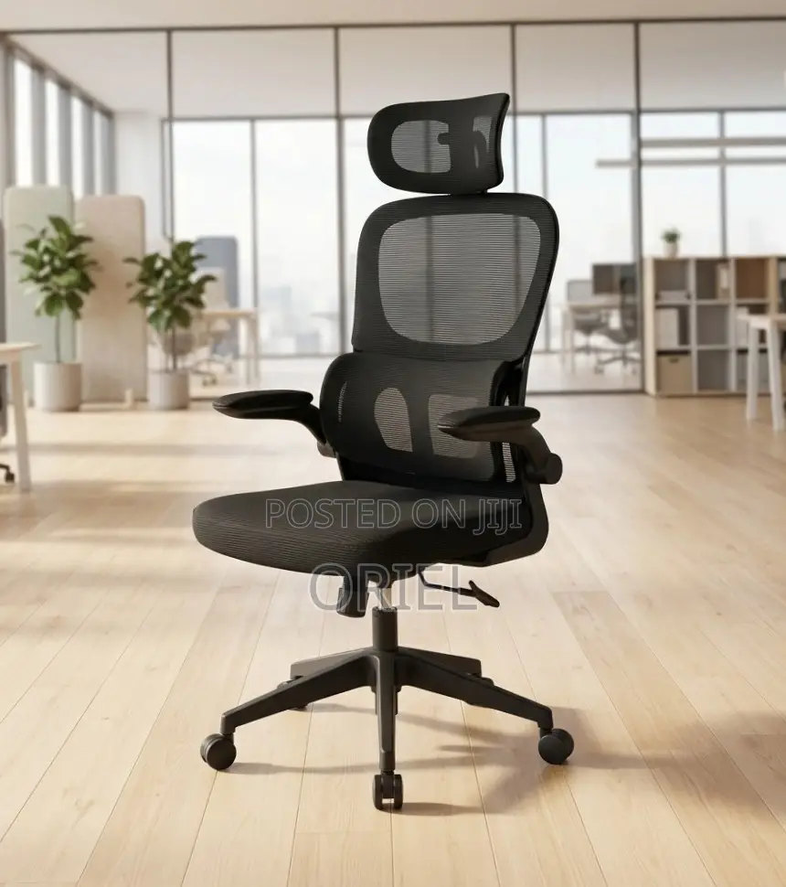 Office Chair : Ergonomic Chair With Flip Armrest