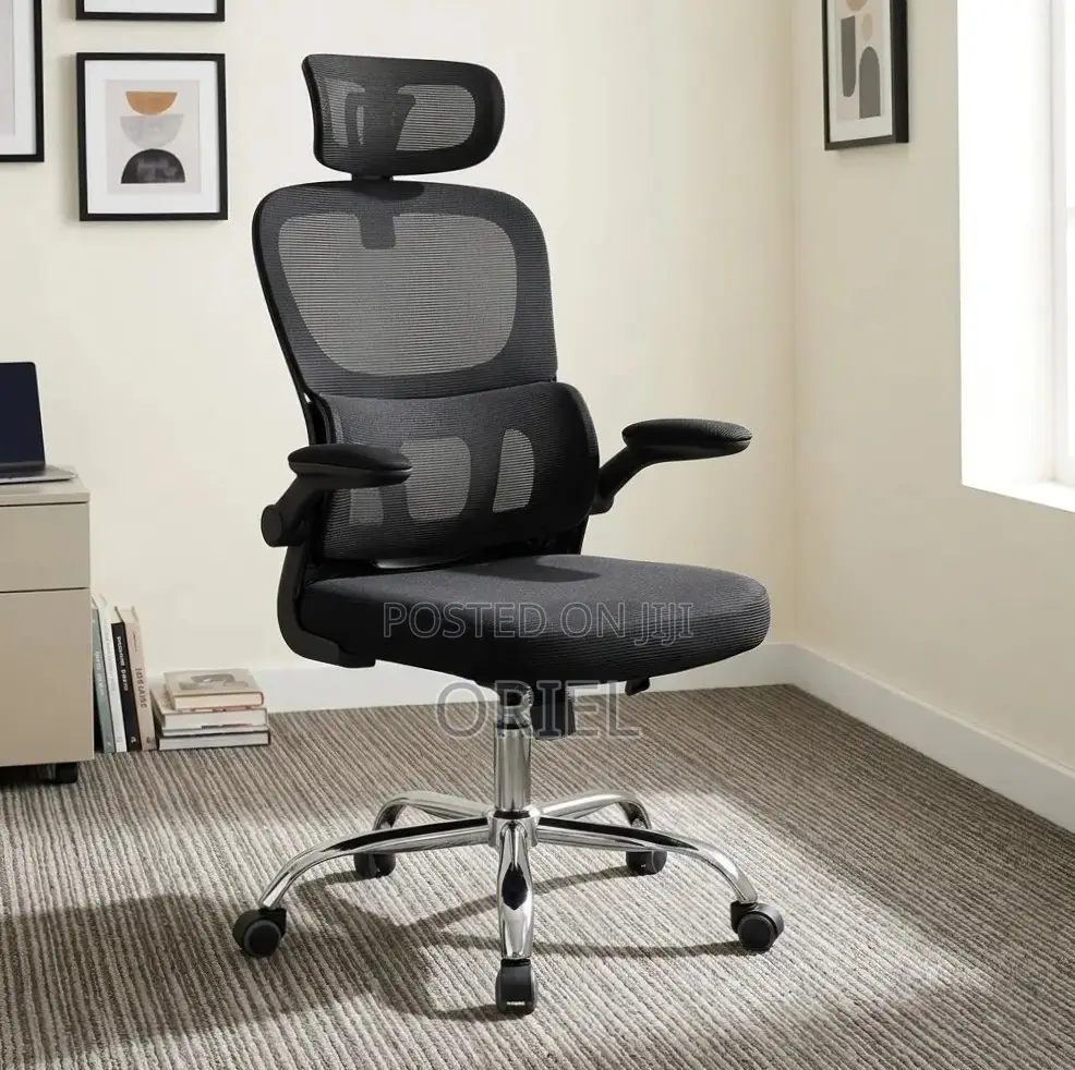 Office Chair : Ergonomic Chair With Flip Armrest