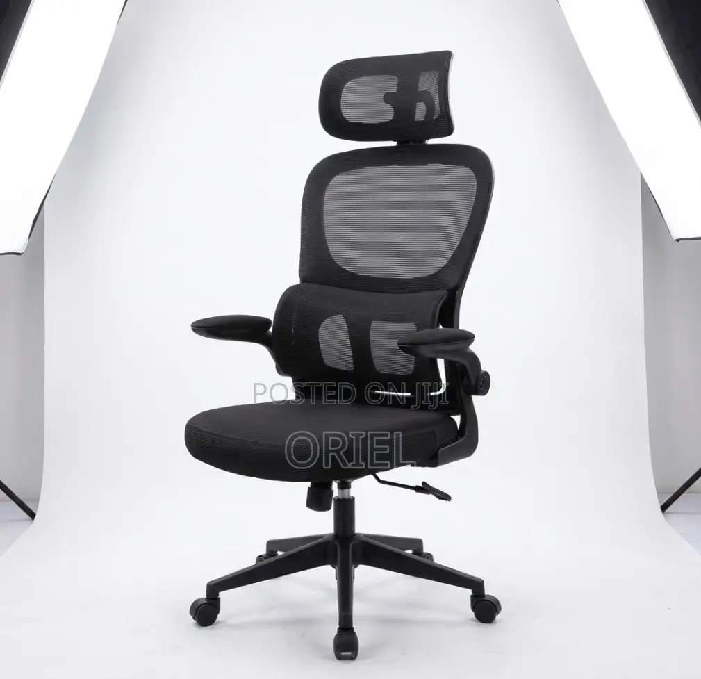 Office Chair : Ergonomic Chair With Flip Armrest