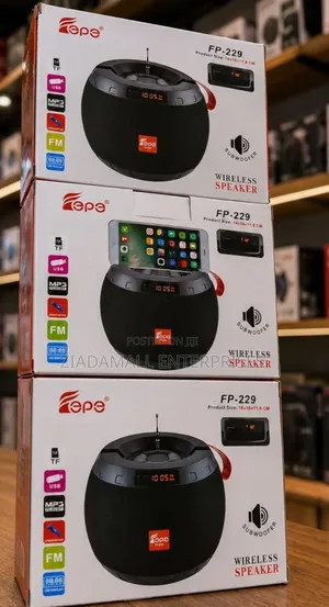 Portable FP-229 BT Speaker With Rechargeable Battery